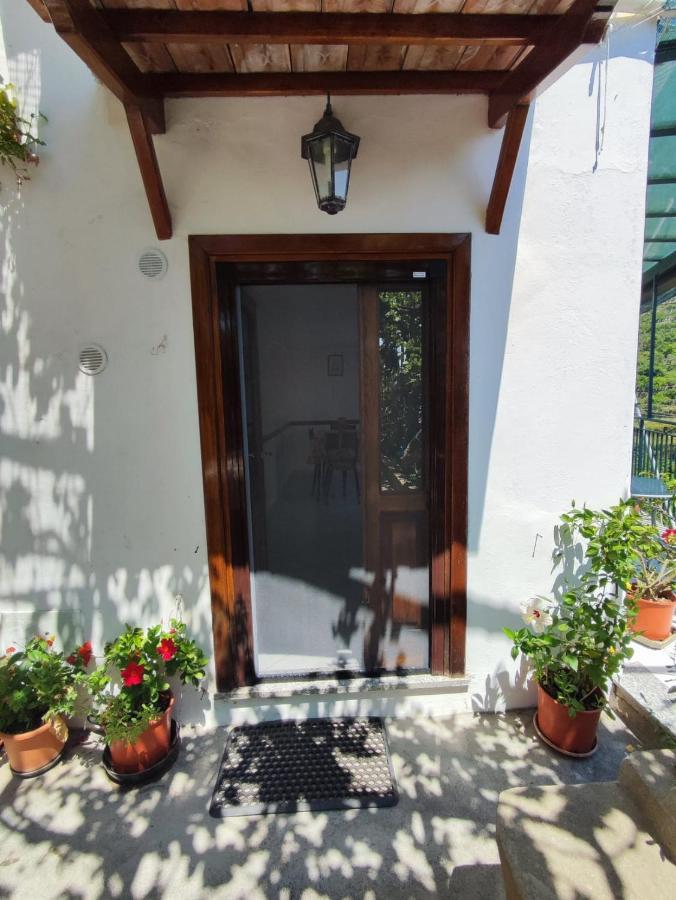 Eden Tra I Limoni Apartment Minori Exterior foto