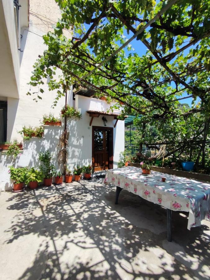 Eden Tra I Limoni Apartment Minori Exterior foto